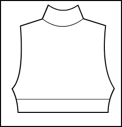 Sleeveless Mock Neck Crop Top Style #: 349-849. Sleeveless Mock-Neck Crop Top with back zipper.Front lined.