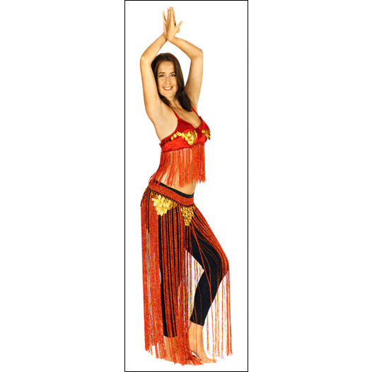 Fringed Bustier / Skirt Set Style #: 86921. Egyptian Made Fringed Bustier And Skirt Set.beautiful Sparkley Fringes And Coin Attachments.Shown With Leggings #10333-Sold Separately.Special Order Item-Not Returnable.Refer to our Modern Dance Shoes category for Belly-Dancing shoes and sandals.